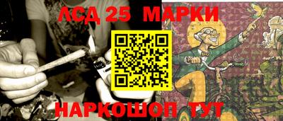 МДПВ Новозыбков