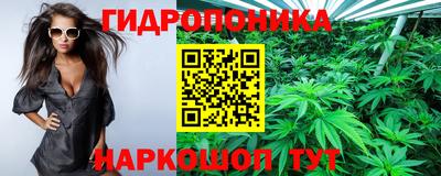 МДПВ Новозыбков