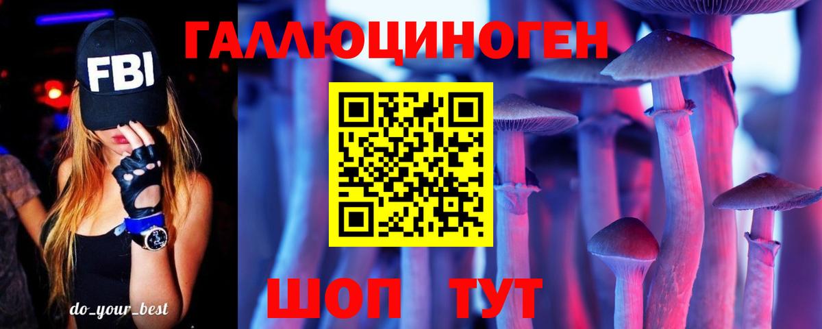 Сальск  Псилоцибиновые грибы ЛСД  Вход с VPN 